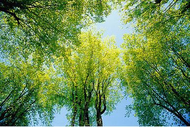 《燕云十六声》新奇术缩骨功将上线 变小后有新玩法